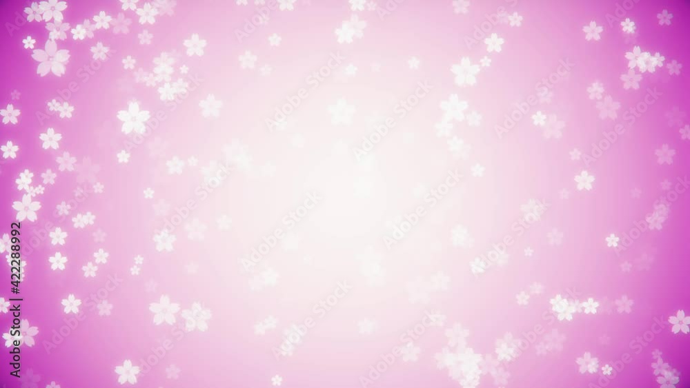 Cherry blossom loop background Cherry blossom loop background