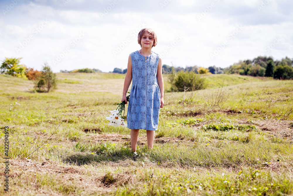  Russian girl in   summer meadow in   field