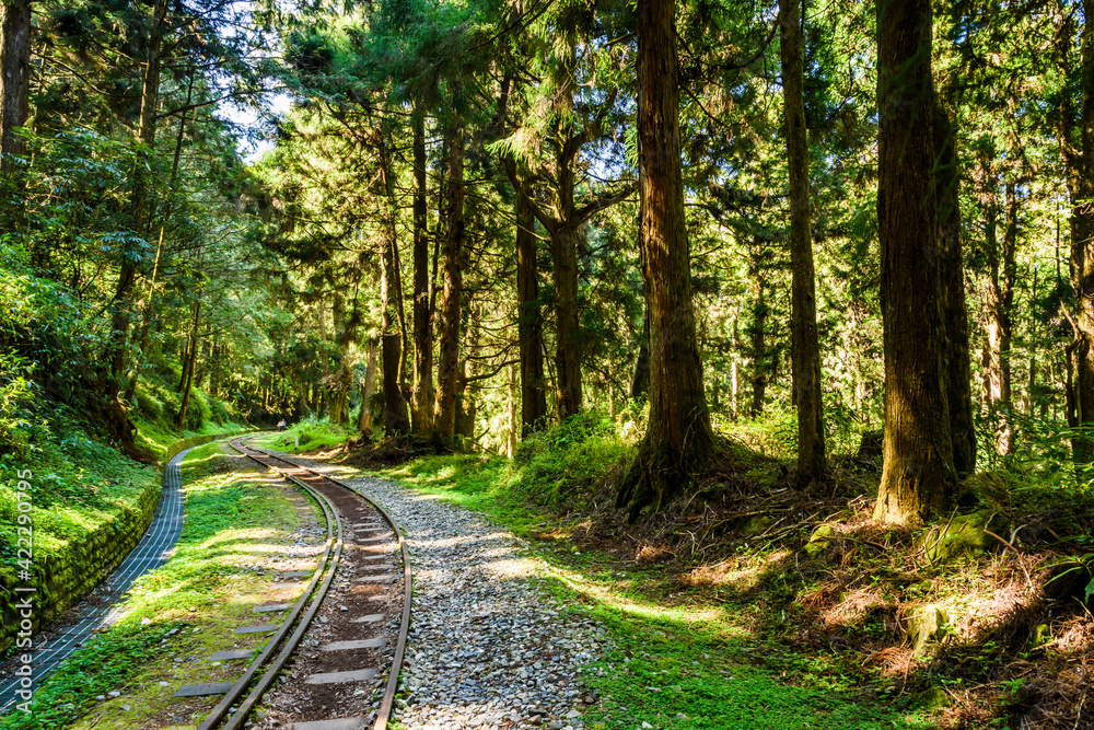 The Forest Railway passes through the Alishan Forest Recreation Area in Chiayi, Taiwan. The Forest Railway passes through the Alishan Forest Recreation Area in Chiayi, Taiwan.