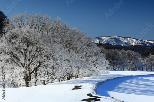 岩手県西和賀町 冬の和賀川