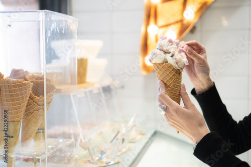 Artisan ice cream shop and factory