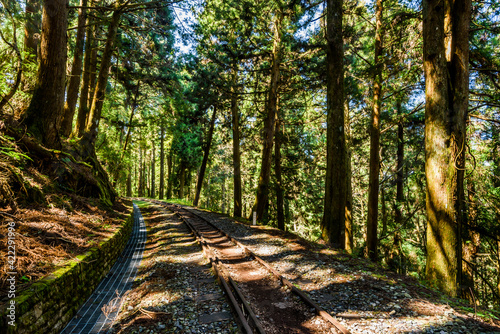 The old forest railway section of Alishan Forest Recreation Area in Chiayi, Taiwan, is now obsolete and unable to operate. photo