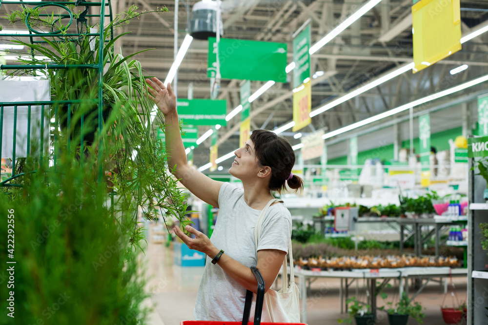 Woman near shelves with indoor flowers in store Woman near shelves with indoor flowers in store