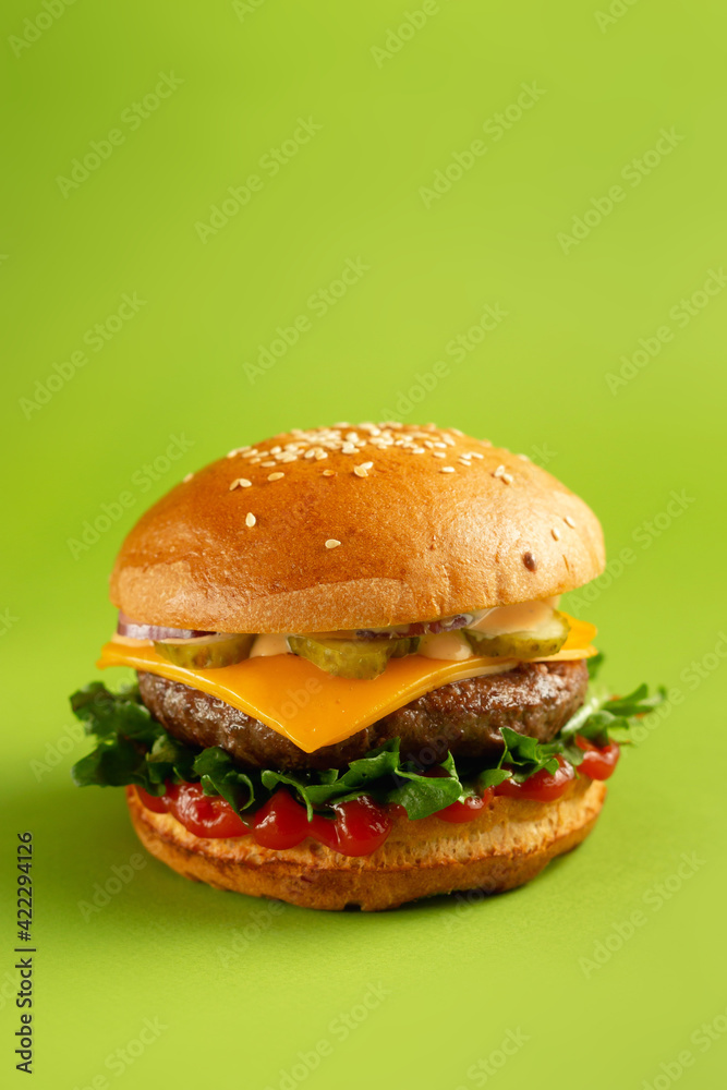 Hamburger on a green background Hamburger on a green background