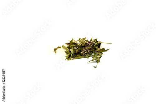 Dried mint leaves with flowers isolated on white, plant for drink
