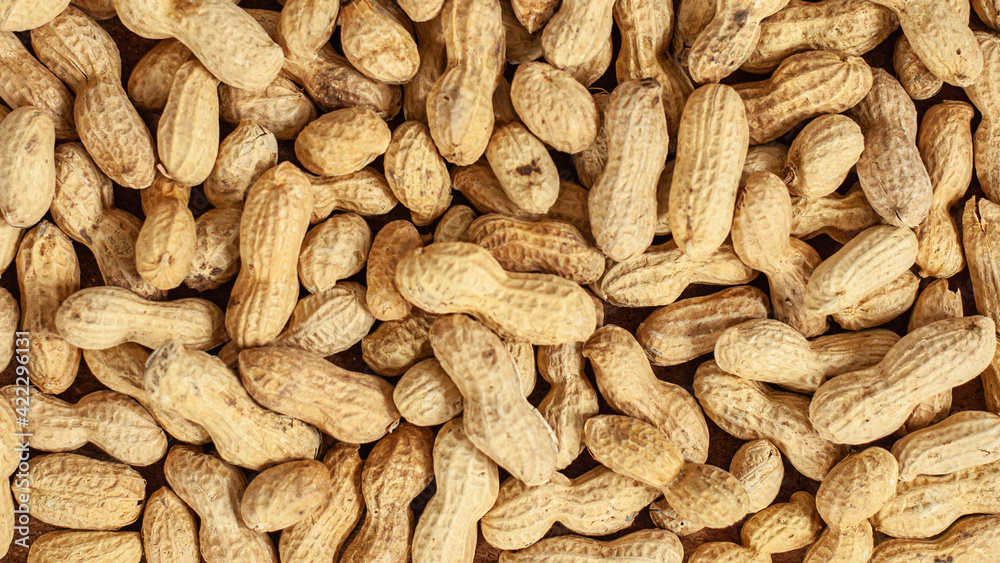 close up of peanuts close up of peanuts
