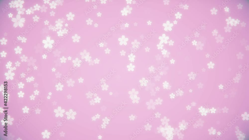 Cherry blossom loop background