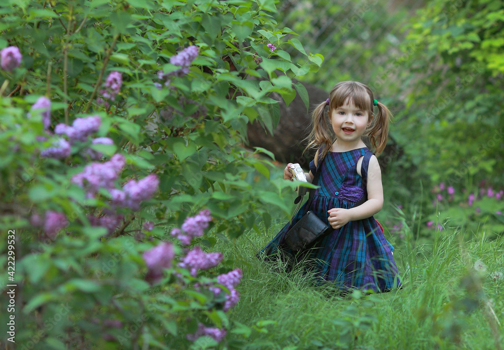 a girl with long hair 3 years old in the spring stands next to lilac bushes in the green grass in a blue dress with a camera in her hands and smiles, . training, photo courses, masterclass. a girl with long hair 3 years old in the spring stands next to lilac bushes in the green grass in a blue dress with a camera in her hands and smiles, . training, photo courses, masterclass.