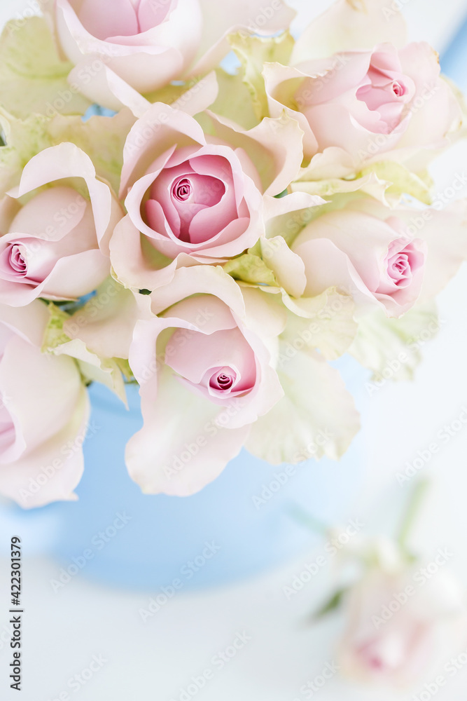 Garden, pink roses in a blue vase, watering can. Garden, flowers, combination of pink and blue