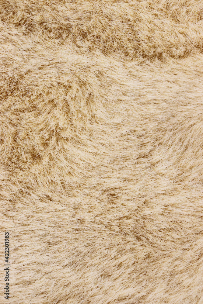 close-up of fur texture background close-up of fur texture background