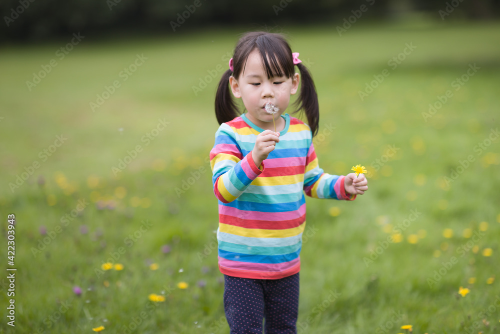 young girl blowing dandelion in the summer garden morning young girl blowing dandelion in the summer garden morning