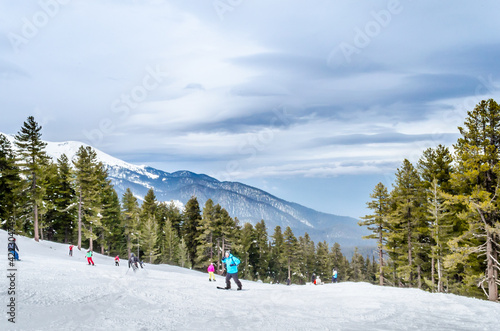 Amazing Winter Landscape with People Skiing and Snowboarding in Basnko, Bulgaria, Europe. Ski Piste on a Mountain, Surrounded by High Trees. 