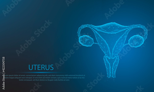 Human anatomy Female reproductive system. Organs location scheme uterus. glowing blue.Low polygon, particle, and triangle style design.Wireframe light connection structure.