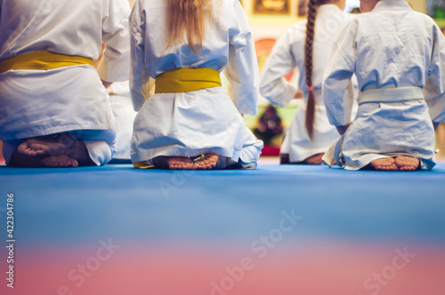 Canvas Print Children in karate training