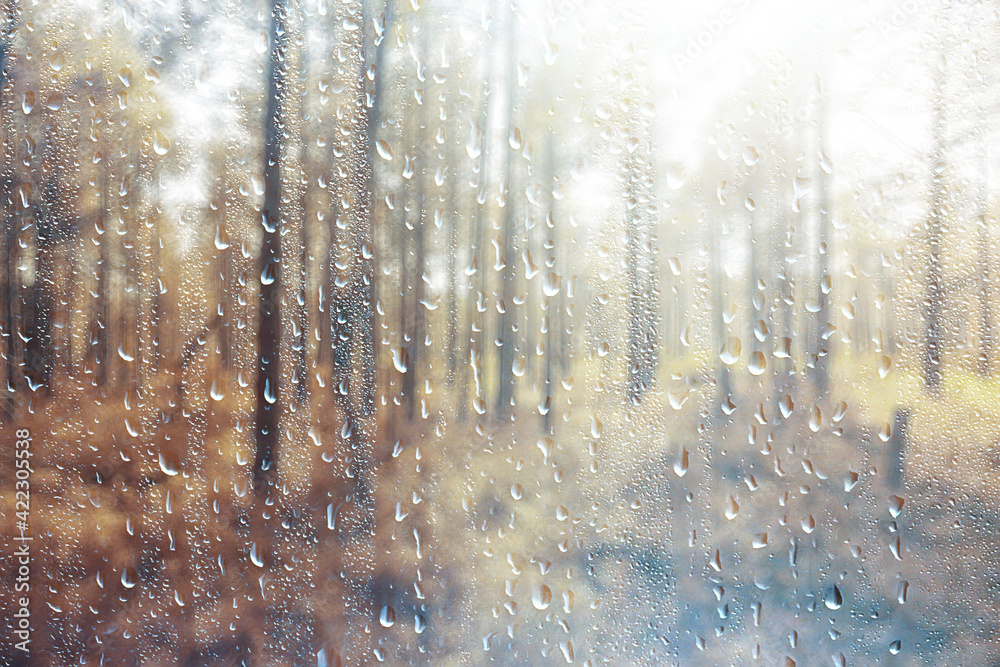 landscape autumn rain drops splashes in the forest background, october weather landscape beautiful park landscape autumn rain drops splashes in the forest background, october weather landscape beautiful park
