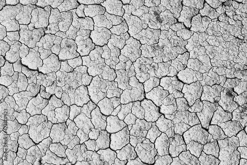 monochromatic picture, dry and cracked ground texture as a background