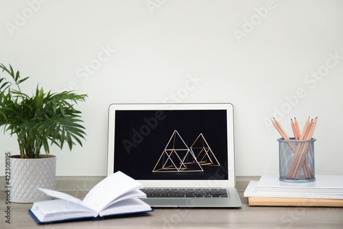 Modern laptop, plant and supplies on wooden table