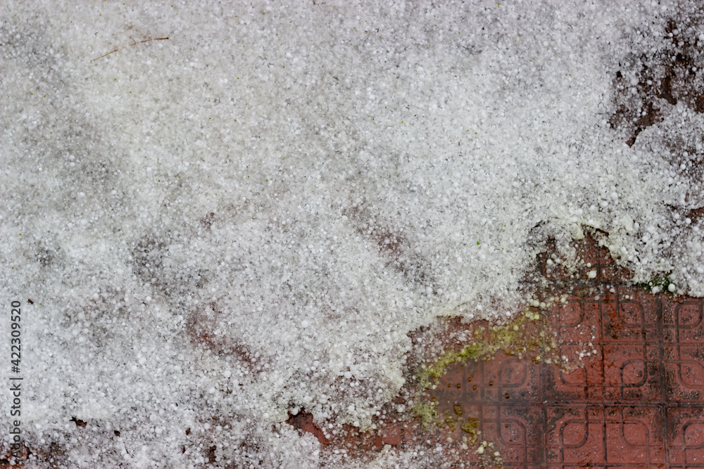 Fototapeta premium Close up accumulated hailstones on ground after a big hailing look like snow pile. Abnormal precipitation in Turkey. Extraordinary weather conditions as a result of climate change. Selective focus.