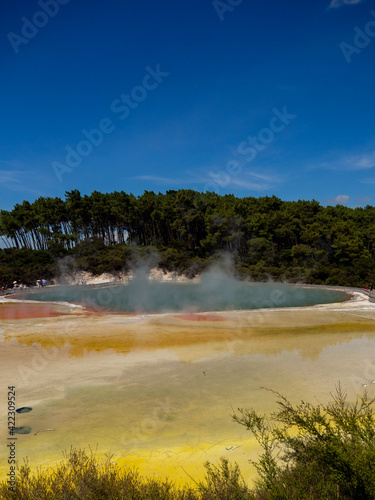 Thermal lake at Waiotapu - New Zealand
