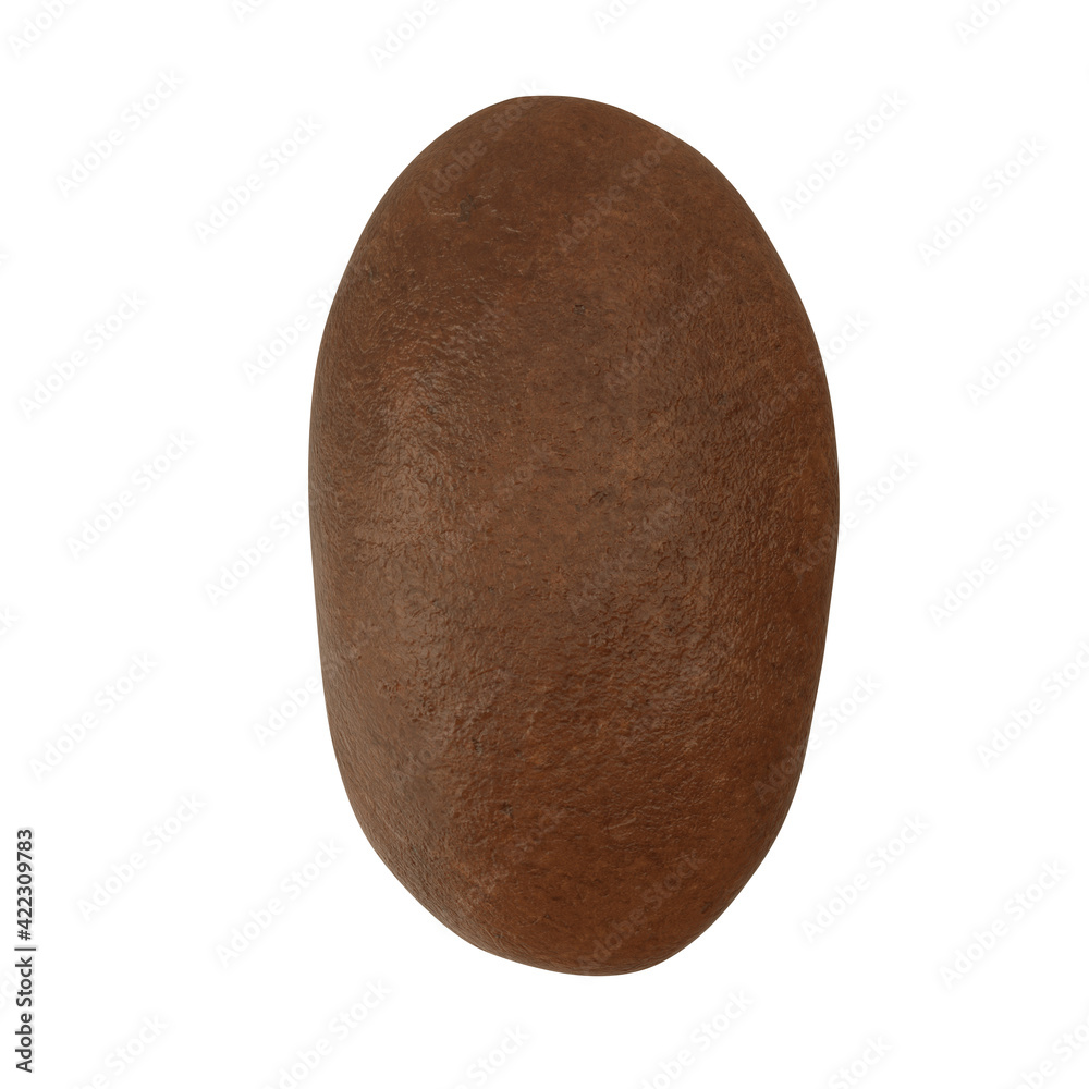 Fototapeta premium Realistic Coffee Bean 3D illustration