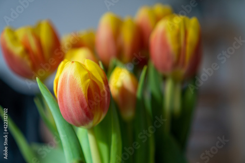 bouquet of red-yellow tulips with green leaves