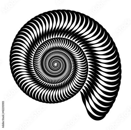 Vector pattern in the form of a snail. Marine ornament, pattern. Isolated geometric pattern. Black and white, monochrome