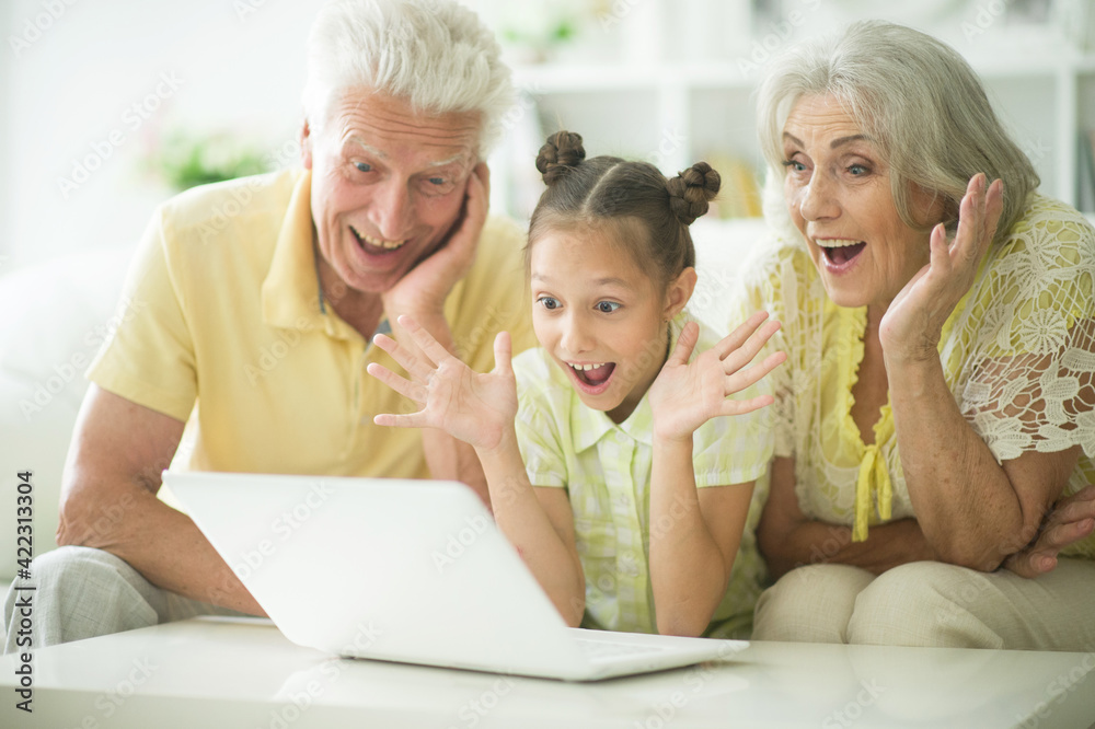 happy family using laptop at home happy family using laptop at home