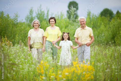 happy family with granddaughter in field