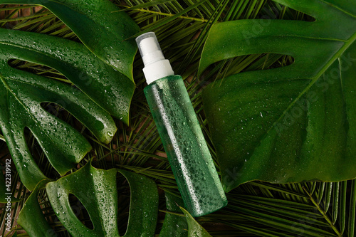 cosmetic bottle toner or micelar water with pipette standing on green table with palm leaves. Facial skin care concept. Natural vegan cosmetic. Serum or skin essential oil. Modern beauty trend. photo