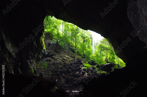 マレーシア　ボルネオ島　世界遺産グヌン・ムル国立公園のディアケイブ
