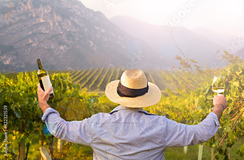 Man with a glass, bottle of white wine in the vineyards of Italy. Person pouring wine. Free space for text. High quality photo. Northern italy, Piemonte vineyards. High quality photo. Copy space