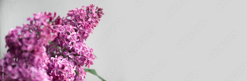 Floral spring background with purple lilac flowers. Flat lay, copy space