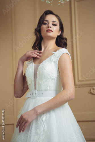 Bride in beautiful dress standing indoors interior at home. Trendy wedding style shot. Wedding makeup and hairstyle. Beautiful Bride in the morning.