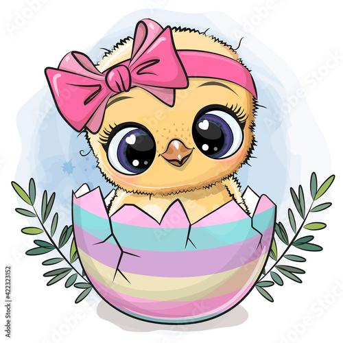 Cute chicken hatched from the egg