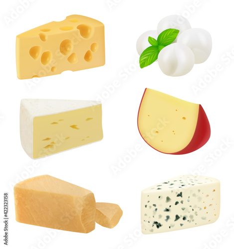 Realistic cheese. Pieces of delicious gourmet food variety mozzarella natural healthy milk products holland cheese decent vector illustrations set