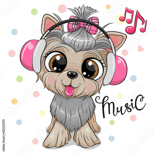 Yorkshire Terrier with hedphones on a white background