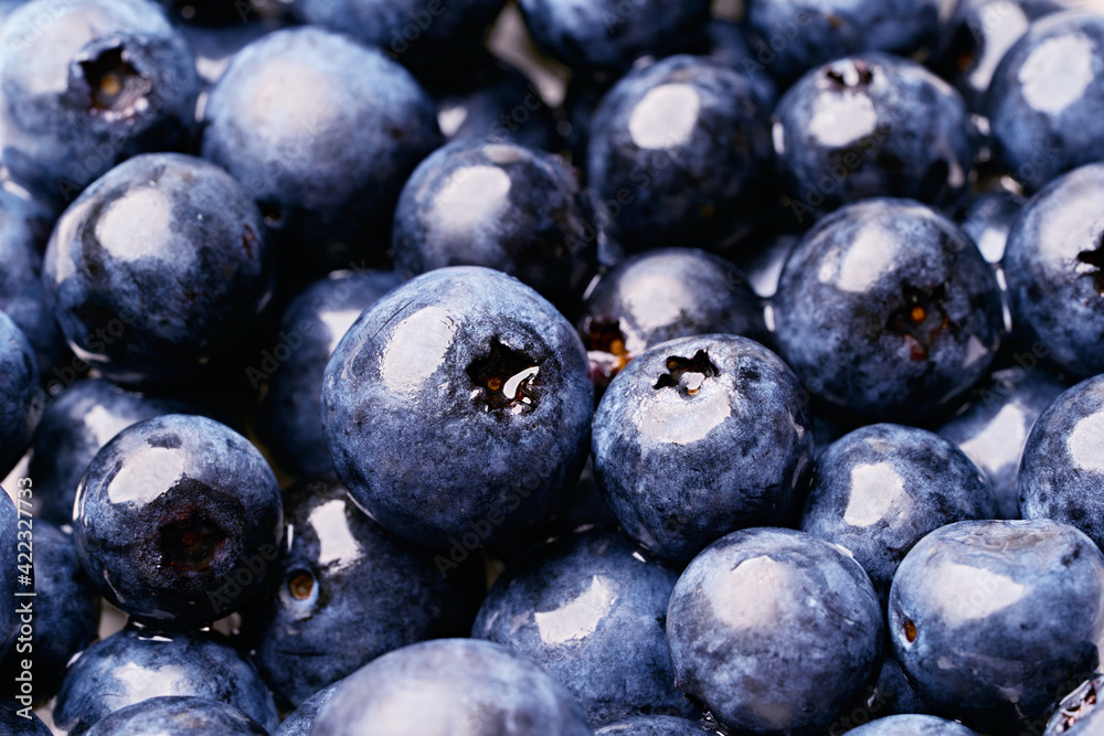 close up fresh blueberry background. blue berry fruit close up fresh blueberry background. blue berry fruit