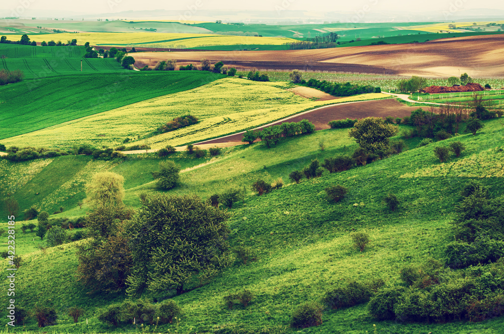 Rural spring landscape