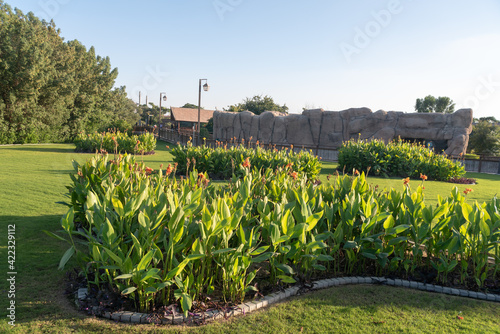 Canvas Print Beautiful view of flowers under a blue sky in Dubai Safari Park (Dubai Zoo)