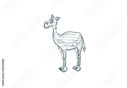 sketch of a camel
