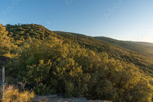 sunrise in the Sierra Nevada mountains