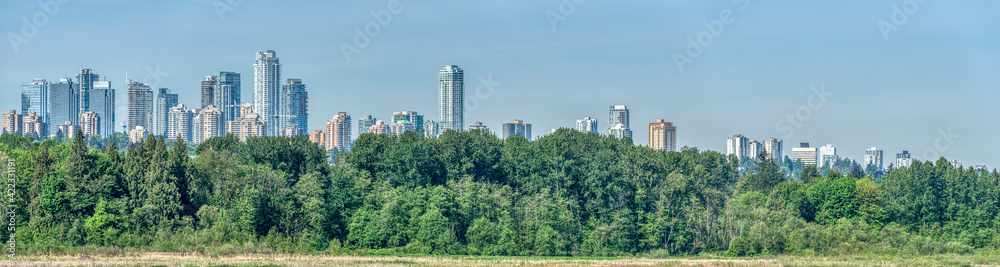 Obraz premium Panoramic view of Metrotown on bright summer day