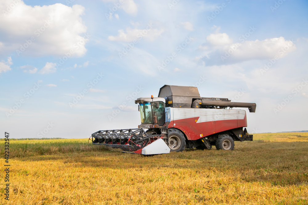 old combine harvester harvests from the field old combine harvester harvests from the field