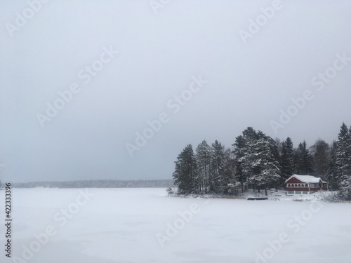 Winter Wood, Sweden, Norrland, Scandinavia, Snow, Snow world, let it go, Nordic nature, House, Pure winter, nordic winter