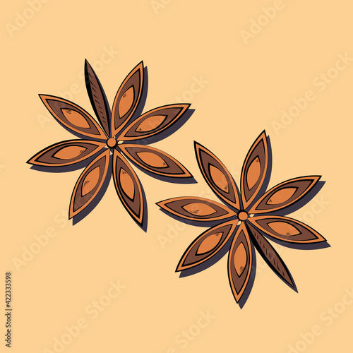 star anise hand drawing symbol icon outline flat illustration on light background. Vector