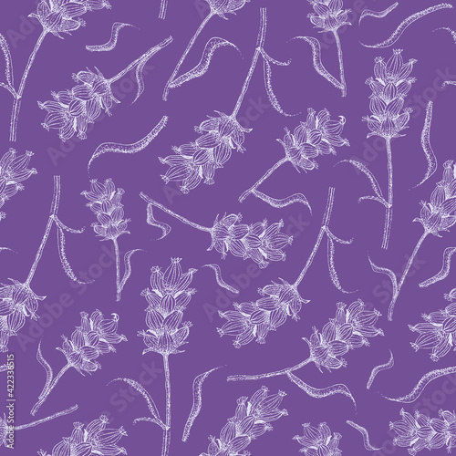 Lavender line art seamless vector pattern background. Flower blossoms on stems with leaves on duotone purple white backdrop. Botanical herb vintage design. Nature garden all over print for summer