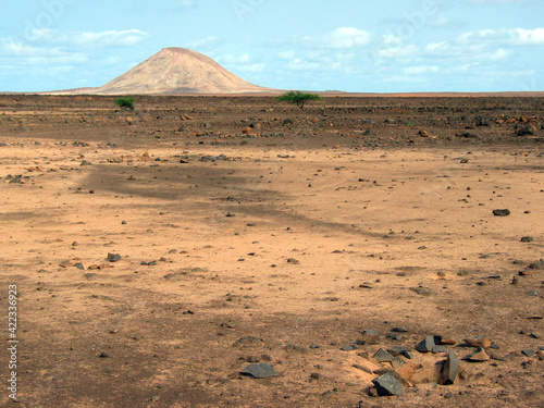 Dry desert volcanic landscape, island Sal in Cabo Verde archipelago; arid salty plane, rocky flatland and a remote volcanic hill, two small acacia trees.