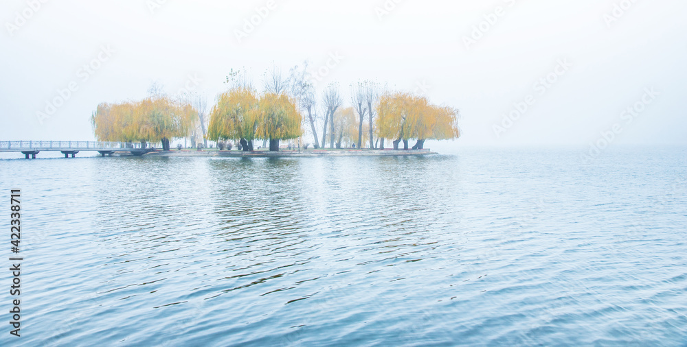 Mystical exciting charming autumnal minimalistic landscape with an island of yellow trees in the middle of a lake in a misty morning