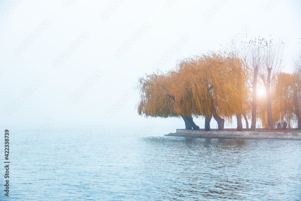 exciting charming autumnal minimalistic landscape with an island of yellow trees in the middle of a lake in a misty morning