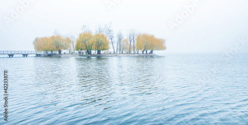 Obraz na płótnie Mystical exciting charming autumnal minimalistic landscape with an island of yellow trees in the middle of a lake in a misty morning w salonie